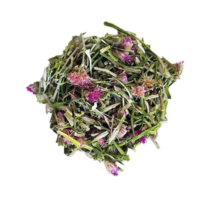 Saussurea kattestaart-extract in NEOflorax-capsules