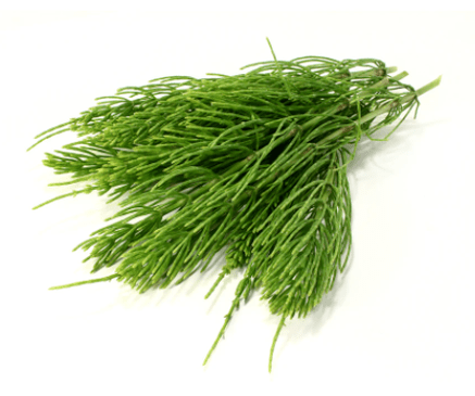 paardenstaartextract in NEOflorax